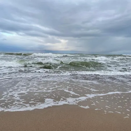 Przy Ulicy Zaruskiego Blisko Plazy *