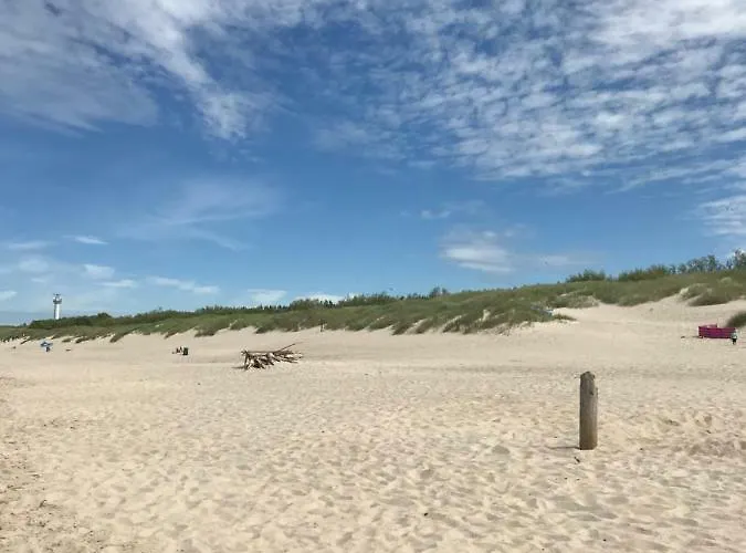 Przy Ulicy Zaruskiego Blisko Plazy